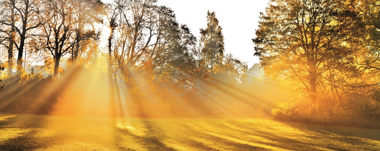 Gelb ist die strahlendste aller Farben – sie symbolisiert Licht, Heiterkeit ebenso wie Erleuchtung und Intellekt. 