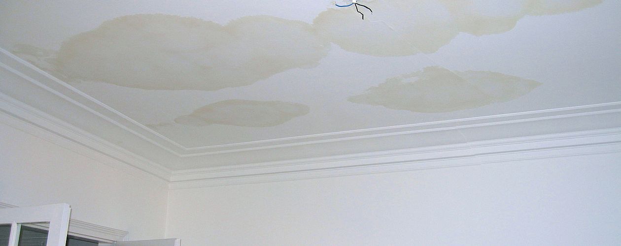 Die Alpina Isolierfarbe sperrt hartnäckige Wasserflecken zuverlässig ab.